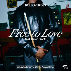 Free to Love (feat. David Blank & Saturnino) [Radio Edit]