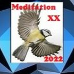 Meditation XX