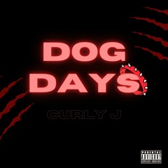 Curly J - Dog Days