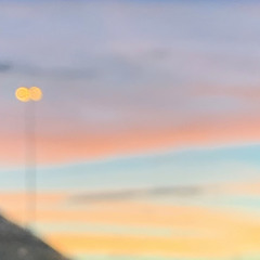 TATTERED SKIN (prod. by nobody)