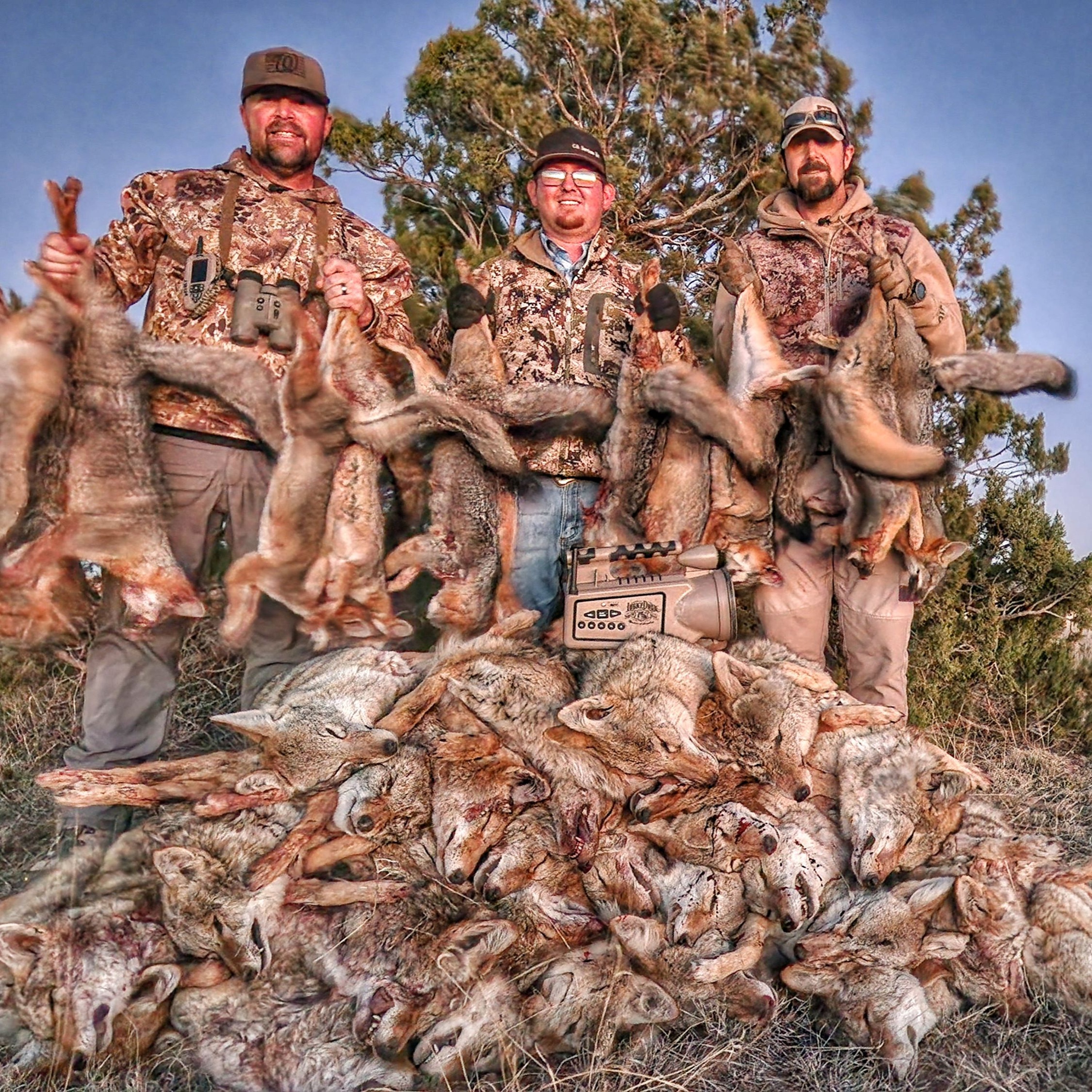 Predator Pros Episode 80: 19 Coyotes in 1 Day with Dustin Patterson & Felipe Baca episode artwork