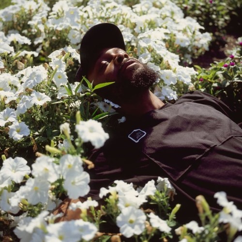 Every JPEGMAFIA song ever I think
