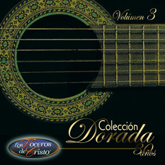 Mi corazón te alaba