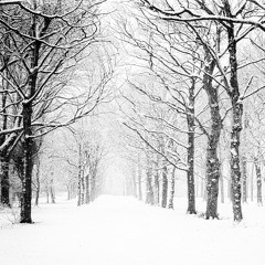 Walking In The Air - Howard Blake (Passport To Stockholm acoustic cover)