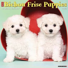 download EBOOK ✔️ Just Bichon Frise Puppies 2023 Wall Calendar by  Willow Creek Press