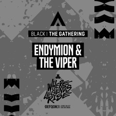 Endymion & The Viper | BLACK | Thurday | Defqon.1 2025