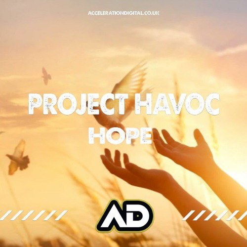 Project Havoc - Hope