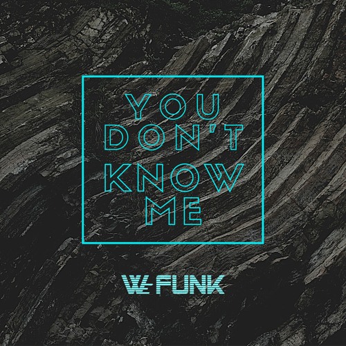We Funk - You Don't Know Me (Original Mix)