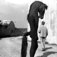 Voidstepping w/ Crystal - June 2021