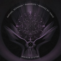 Raphael Scemama - Raindrop (YokoO Goes Deep Dub)