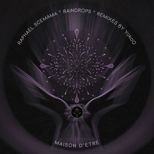 Raphael Scemama - Raindrop (YokoO Goes Deep Dub)
