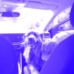 ∙،°. passenger princess dub  ˘Ô≈ôﺣ