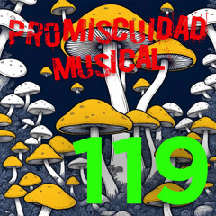 Promiscuidad Musical Sesión 119