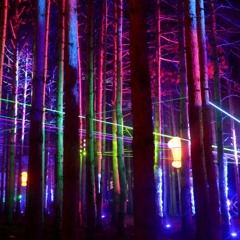 Camp Andromedon Day 2