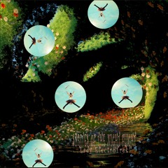 Sprites Of The Night Flight