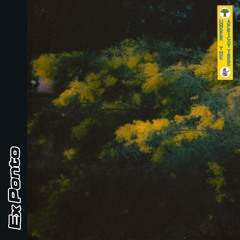 Apricot 03: Ex Ponto