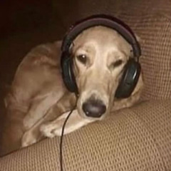 I have thought about it every day since December 17, 2024