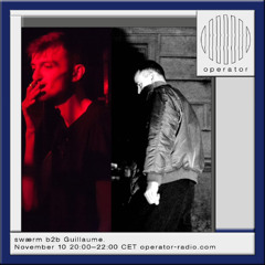 swærm b2b Guillaume. - 10th November 2025