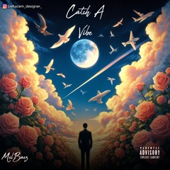 Catch A Vibe