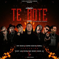 Te Bote (Remixes Mashup)