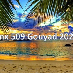Rmx 509 MIX Gouyad 2020 BY Dieuvco