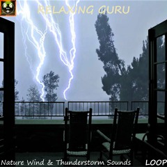 Nature Wind and Thunderstorm Sounds with Thunder & Lightning Strike Sound Effects, NO RAIN - LOOP