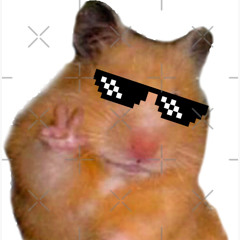 Bombcat