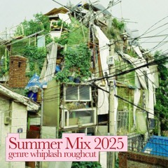SummerMix25 (genre whiplash roughcut)