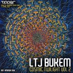 LTJ Bukem - Cosmic Twilight Vol 2 @ Tipper & Friends, Spirit Of Suwannee Music Park 3rd April 2022