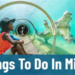 Best Crazy Things To Do In Miami Tours Reviews