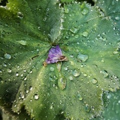 Out in the Rain