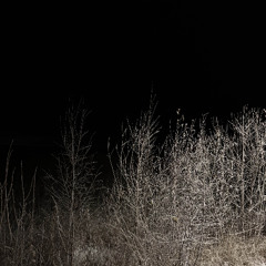 spending 222 years existing as a broken thermostat_20251206