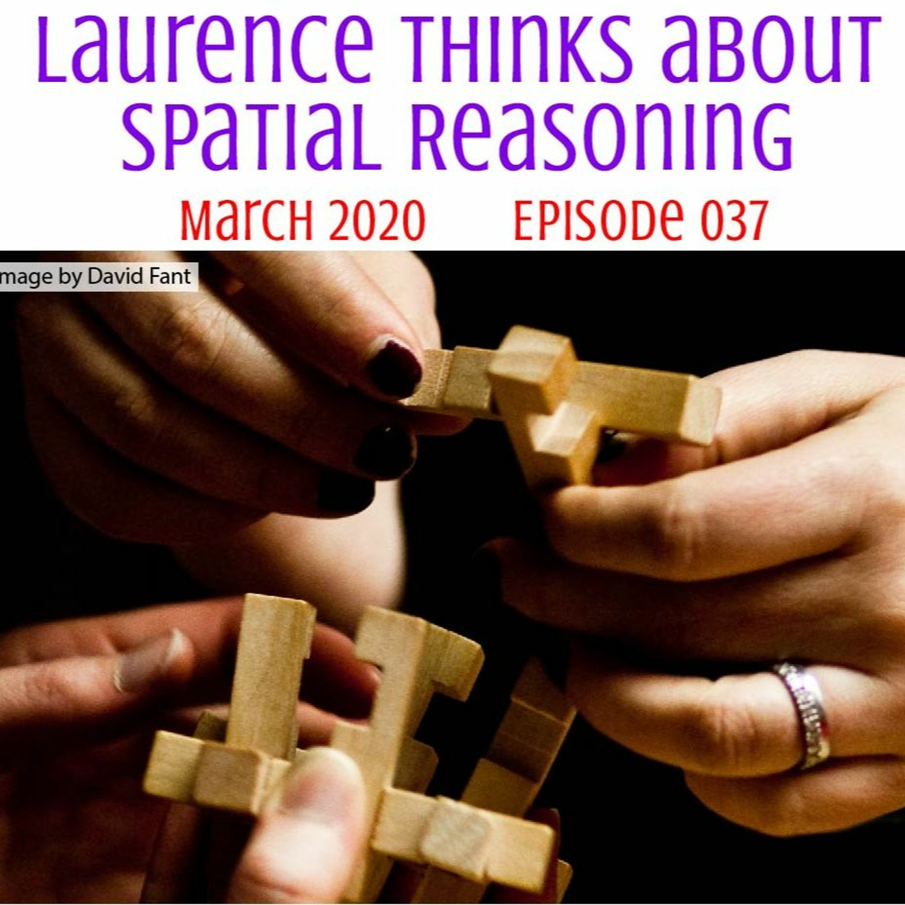 037 Laurence Thinks About Spatial Reasoning