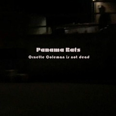 PANAMA RATS -  Whipping School Of Physics