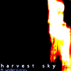 Oklou - harvest sky feat. underscores (Ulmis Techno Remix)