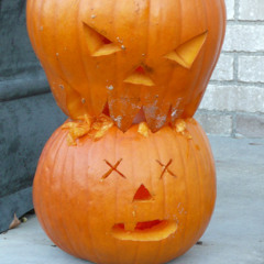 Halloweenie II: Pumpkin Spice