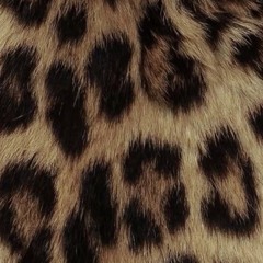 cheetah print