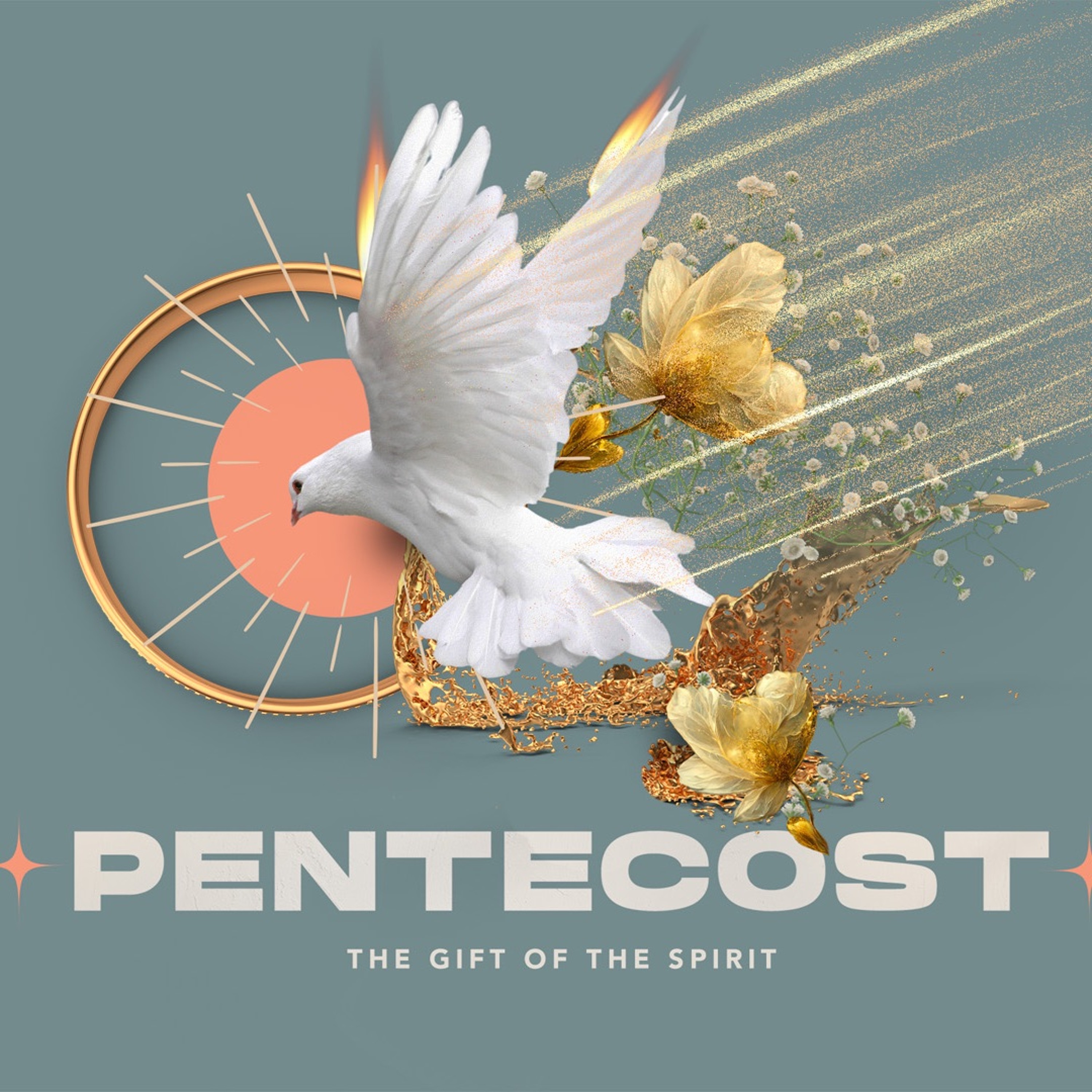 Shaped by The Shepherd