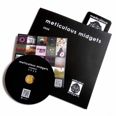 Meticulous Midgets Magazine - CD compilation 2020 (mix)