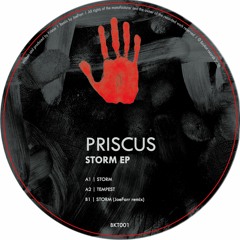Priscus - Storm (JoeFarr Remix)