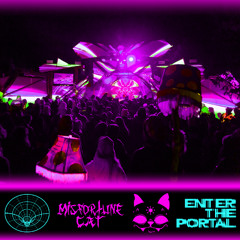 Enter The Portal