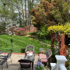The Garden