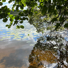 That Place Inbetween