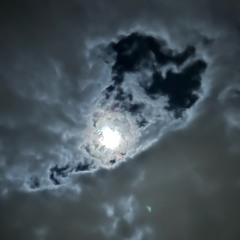 Moonlight