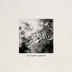 Gossamer