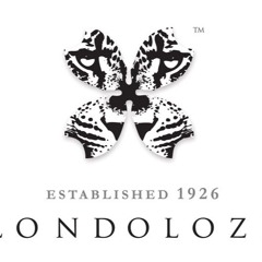 Woodland Kingfisher  (Halcyon senegalensis)