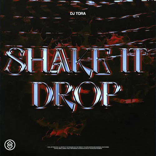 DJ TORA - Shake It Drop