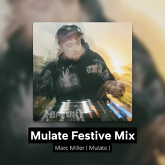 Mulate Festive Mix