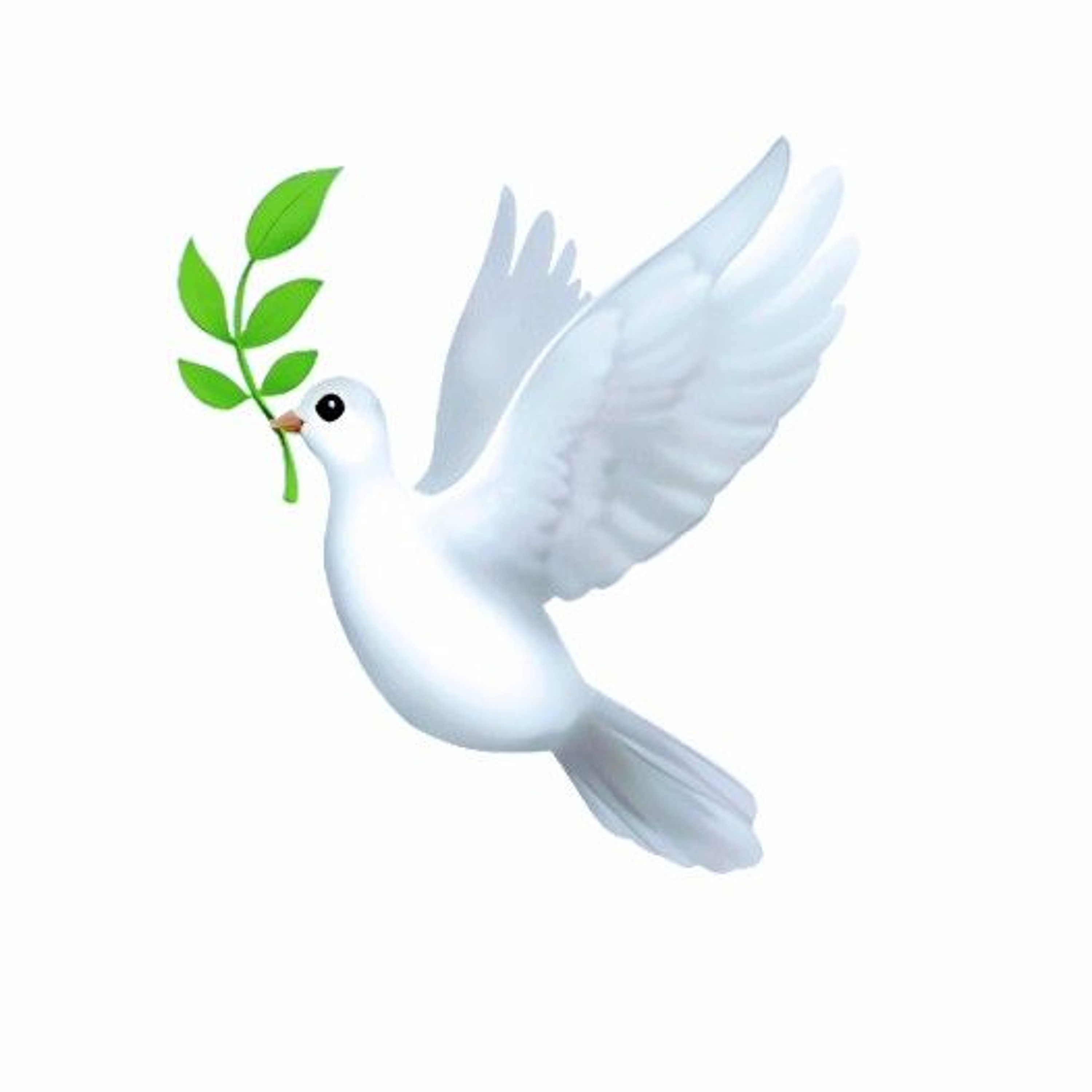 Dove. episode artwork