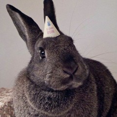 happy bday to me :)prod. Avast x Gauge